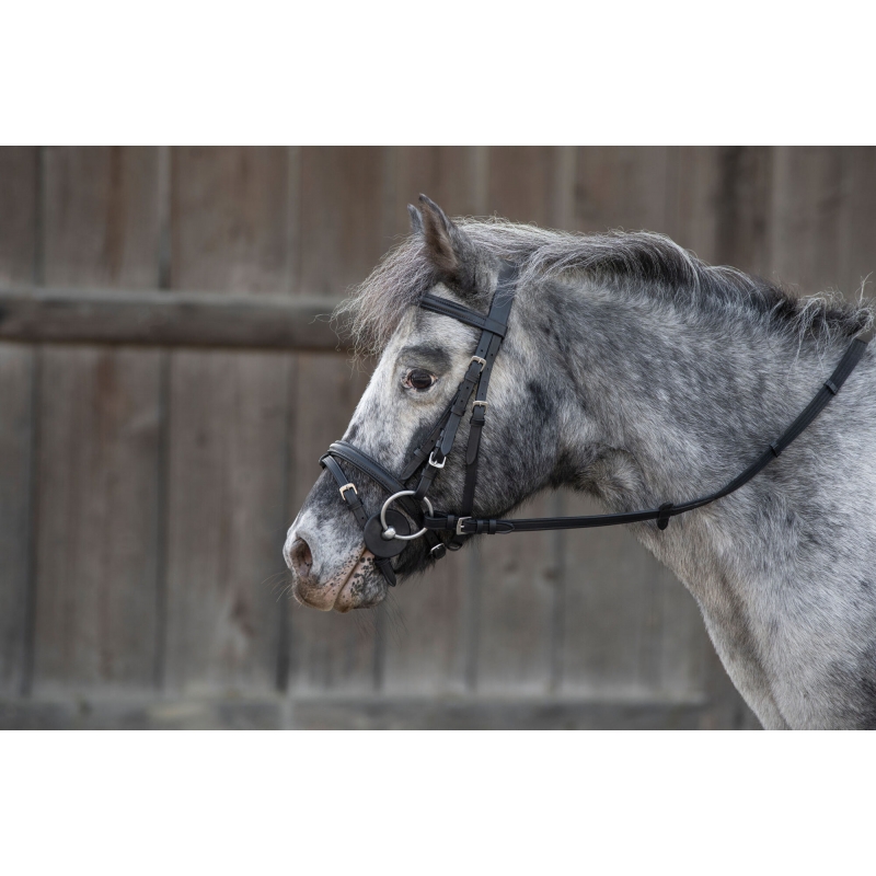 Bitschijven pony, zwart - 7 cm, 2 stuks verpakt - 321727-2