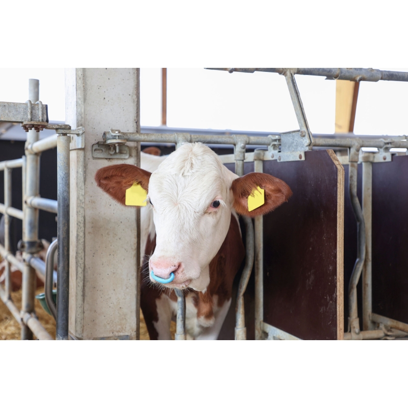 art 13139 agrodieren.be - 13139