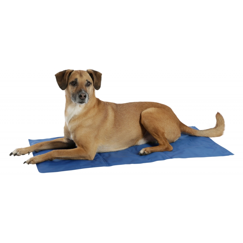 Tapis rafra&icirc;chissant Cool-Relax 50x40cm - 80841