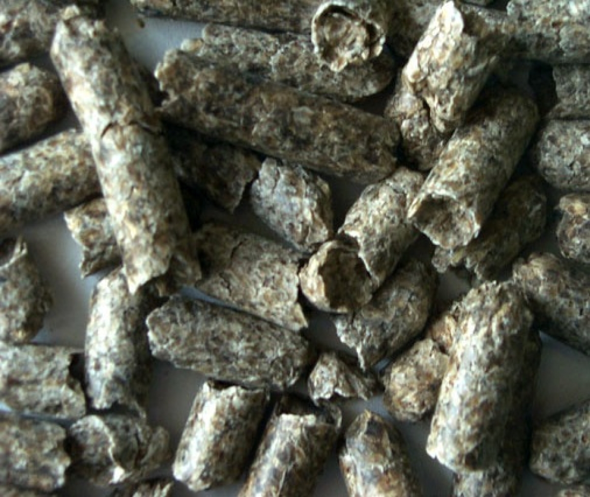 Beet pulp pellets 25 kg per unit Agrodieren