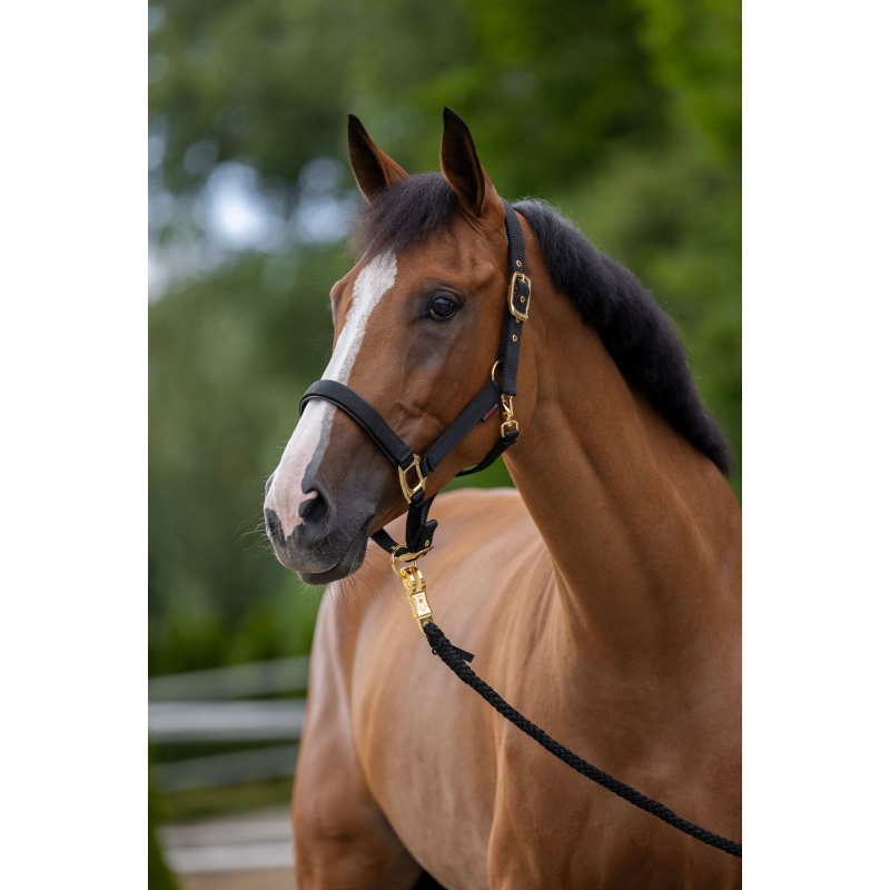 art 3224615 agrodieren.be - 3224615