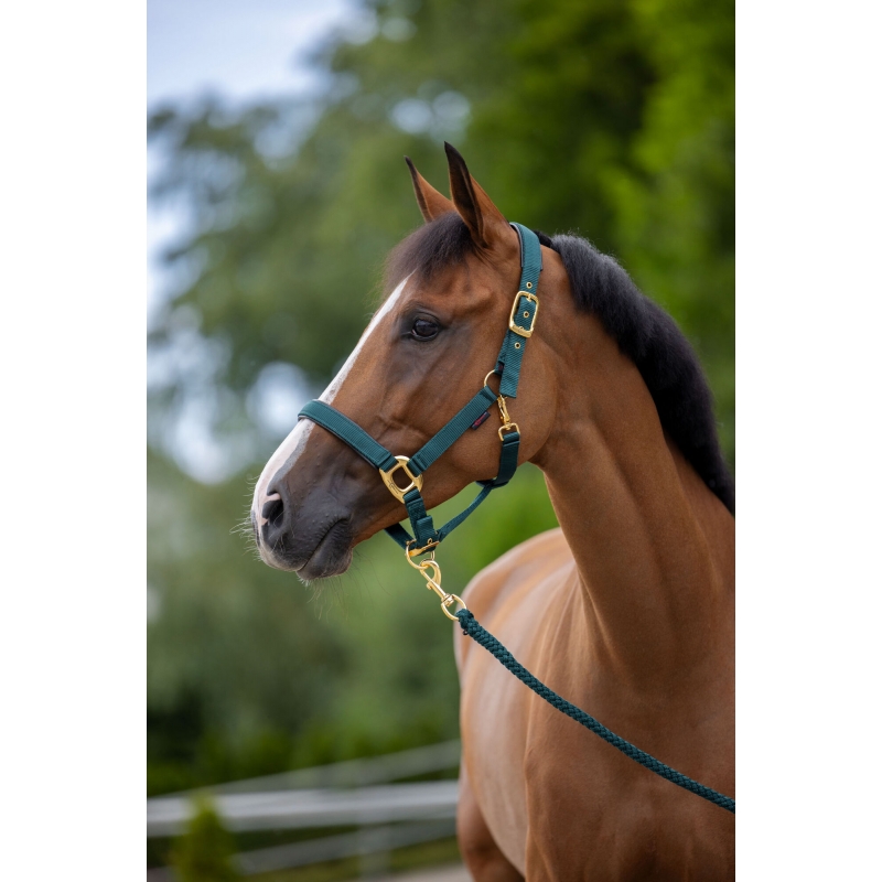 art 3224619 agrodieren.be - 3224619