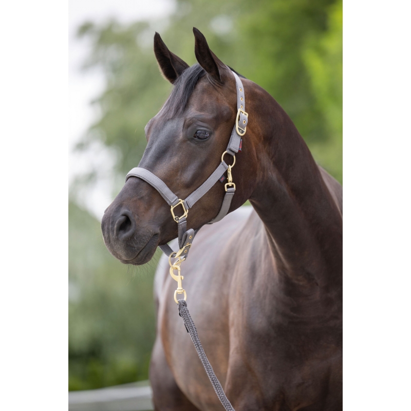 art 3224734 agrodieren.be - 3224734