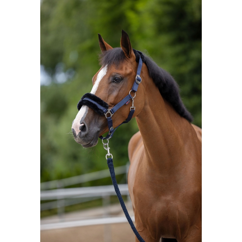 art 3224750 agrodieren.be - 3224750