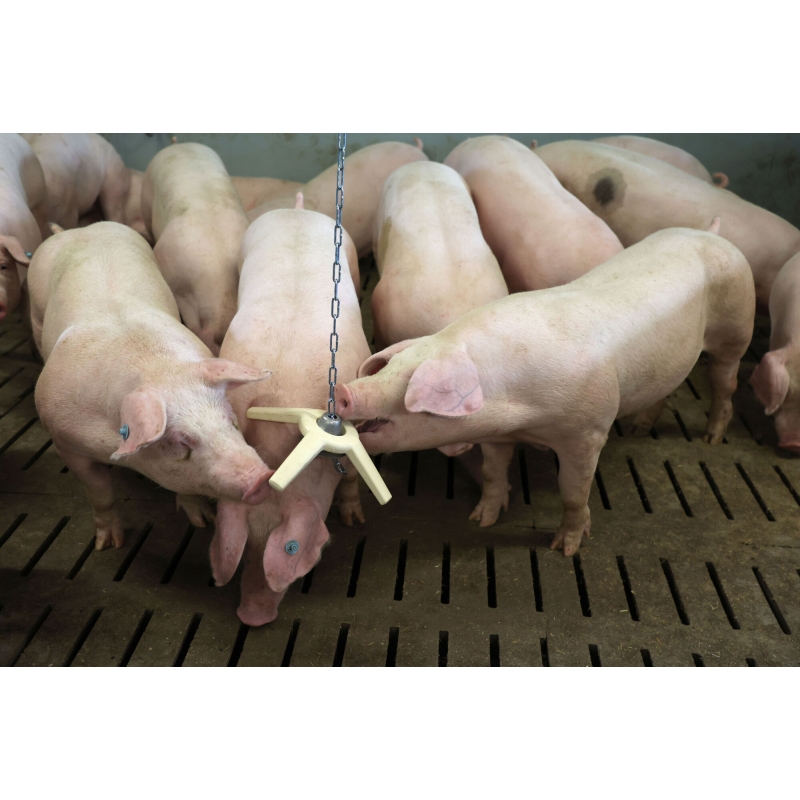 art 22691 agrodieren.be - 22691