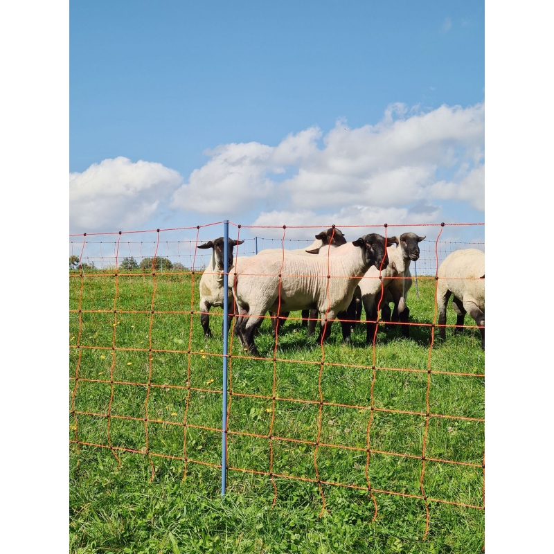 art 27800 agrodieren.be - 27800