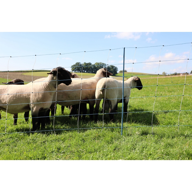 art 27831 agrodieren.be - 27831