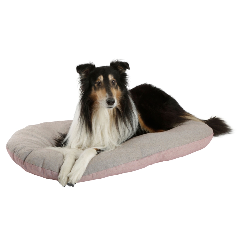 art 80398 agrodieren.be - 80398