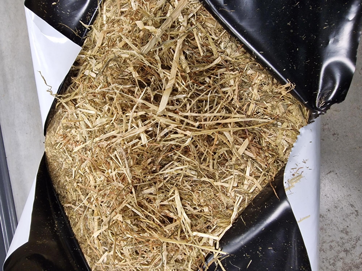overeenkomst Aftrekken Onbevreesd Voordroog hooi vacuum met lage eiwit - 18 kg - losse pak ( ideaal geschikt  voor paarden, schapen, geiten, ... ) | Webshop Agrodieren