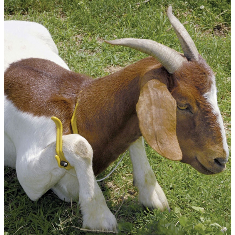art 27476 agrodieren.be - 27476