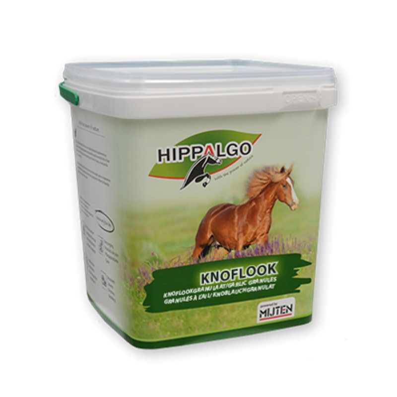 foto fr - HA03903-MIJ