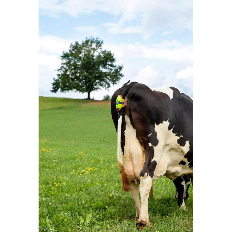 art 10500 agrodieren.be - 10500