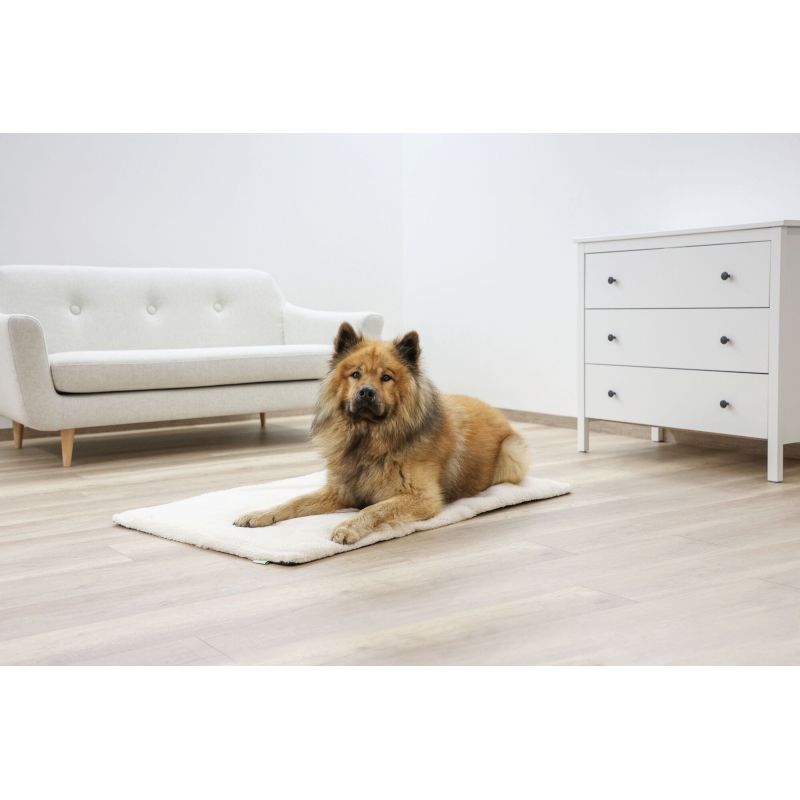 art 80376 agrodieren.be - 80376