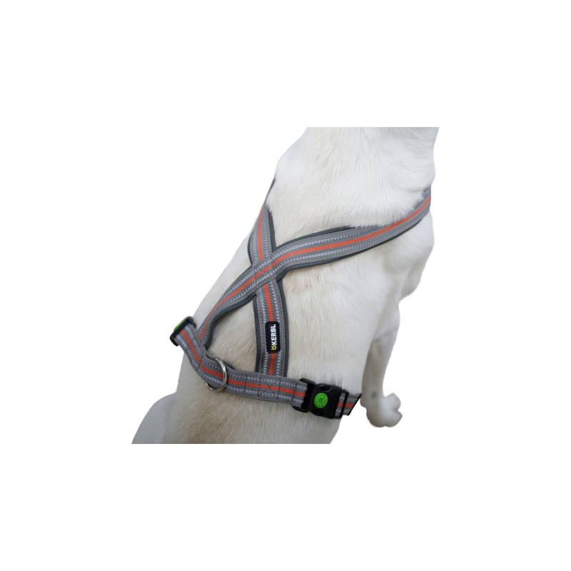 art 80680 agrodieren.be - 80680