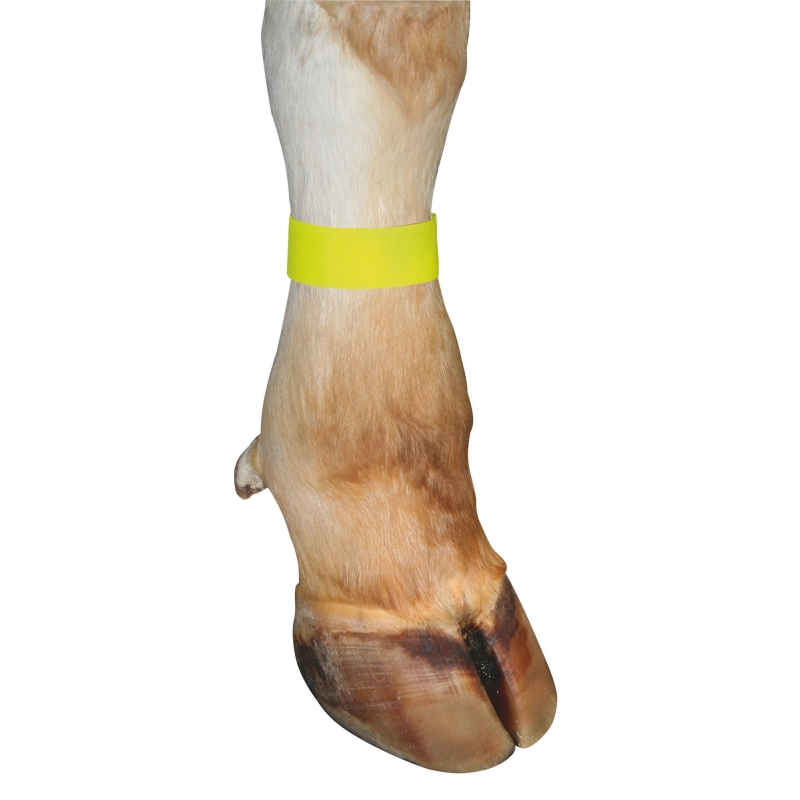 Bracelet velcro jaune 10 pces - 2089