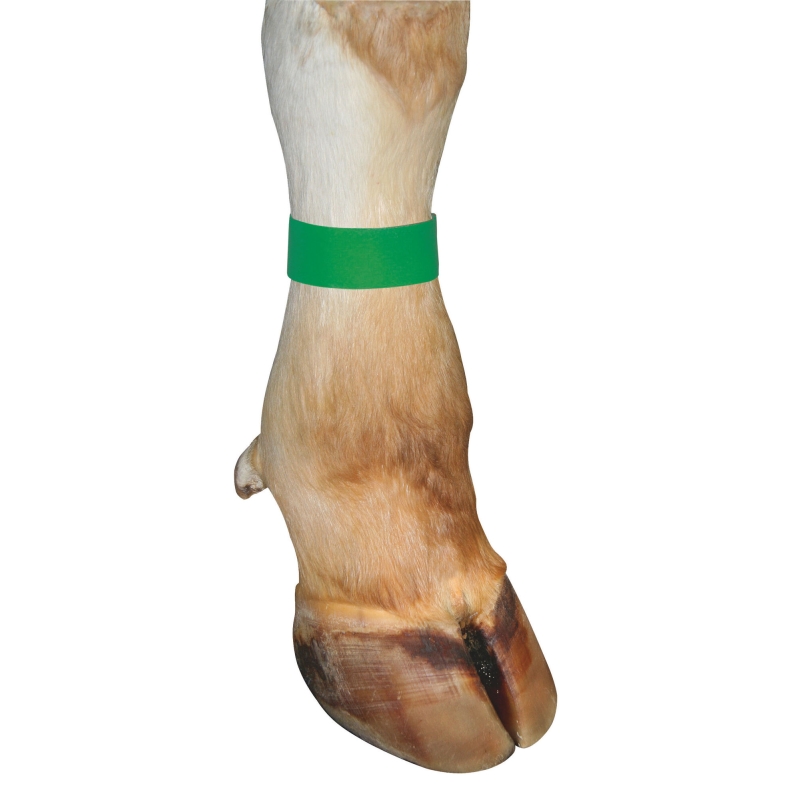 Bracelet velcro fluo vert  36cm par 10 - 20894
