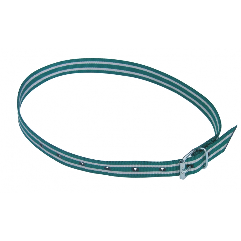 Halsmerkband, 120 cm groen/wit, rolgesp - 20898