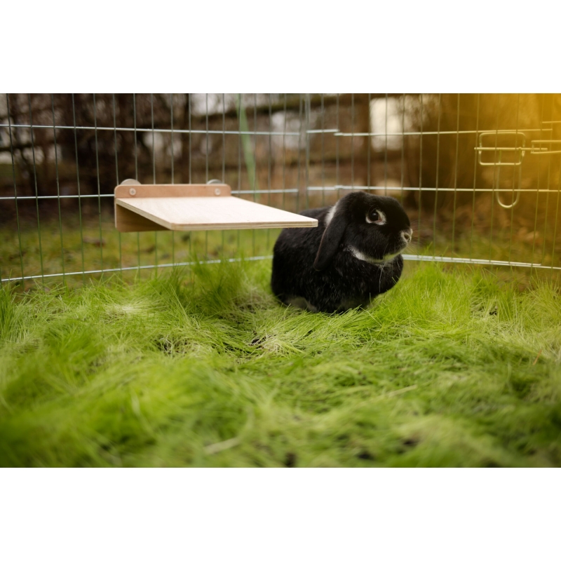 art 81810 agrodieren.be - 81810