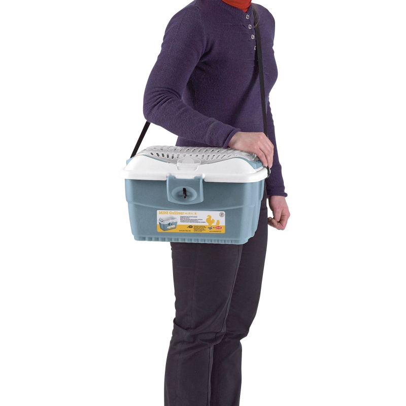 art 81776 agrodieren.be - 81776