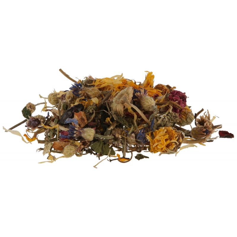 art 81815 agrodieren.be - 81815