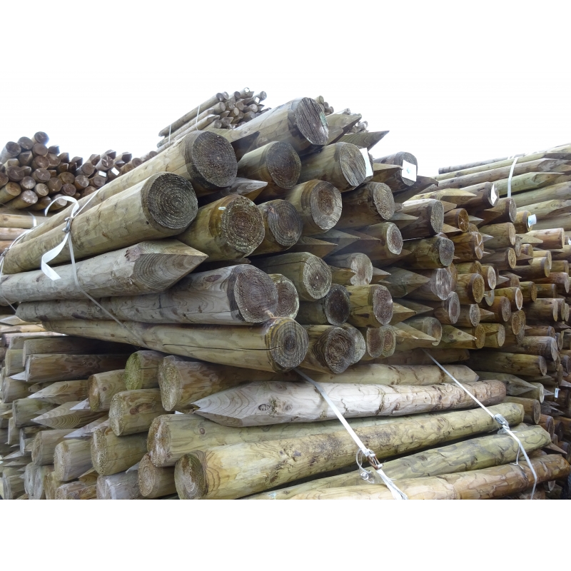 foto fr - DEN-P-ONTSCH-H250-DIA9