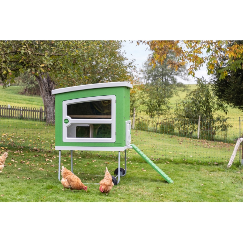 Pondoir & Perchoirs Pour Abri Petit Animal KERBL – 85 X 37 X 48 Cm, Facile à Monter