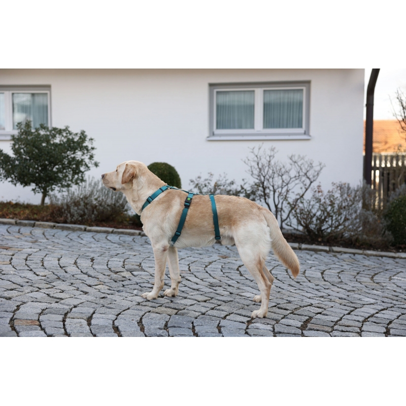 Collier pour chien  Miami Plus rouge, 30mm 45-53 cm - 80041
