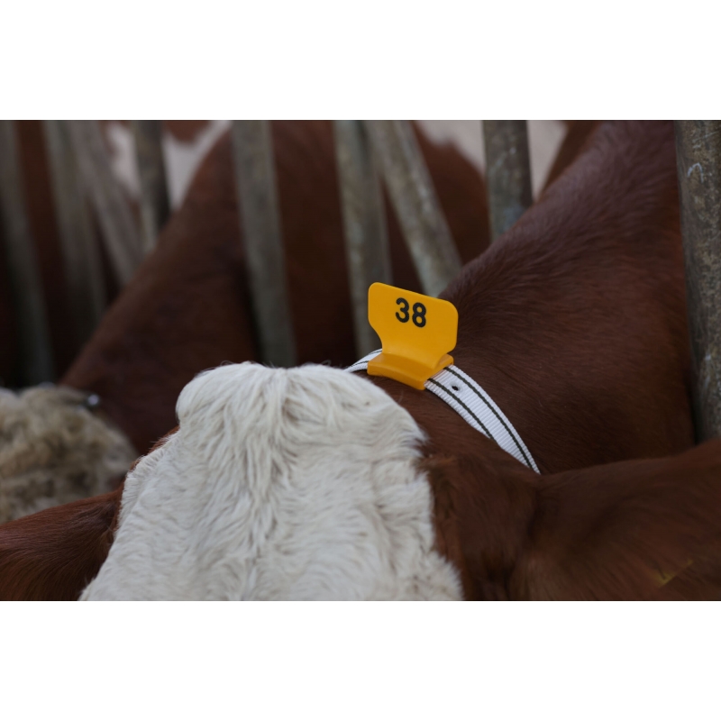 art 208430 agrodieren.be  - 208430