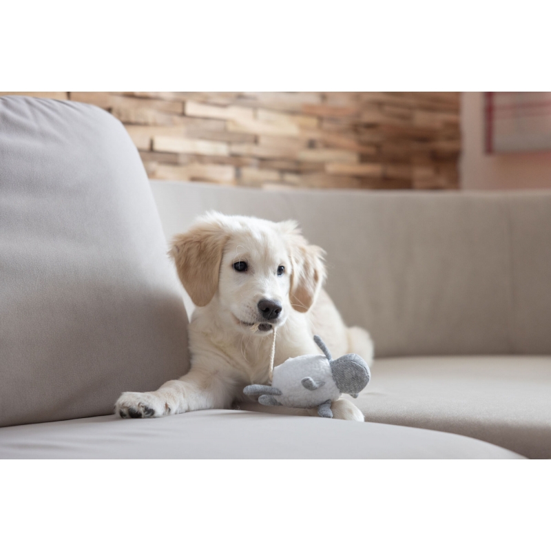 Jouet pour chiots - 80491