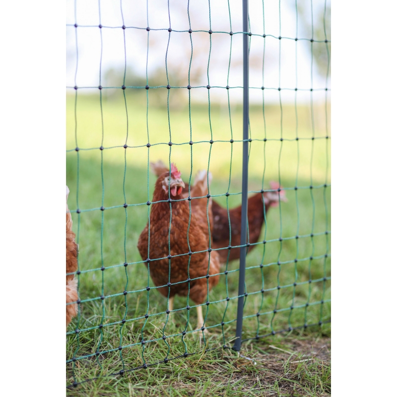 art 292410 agrodieren.be - 292410