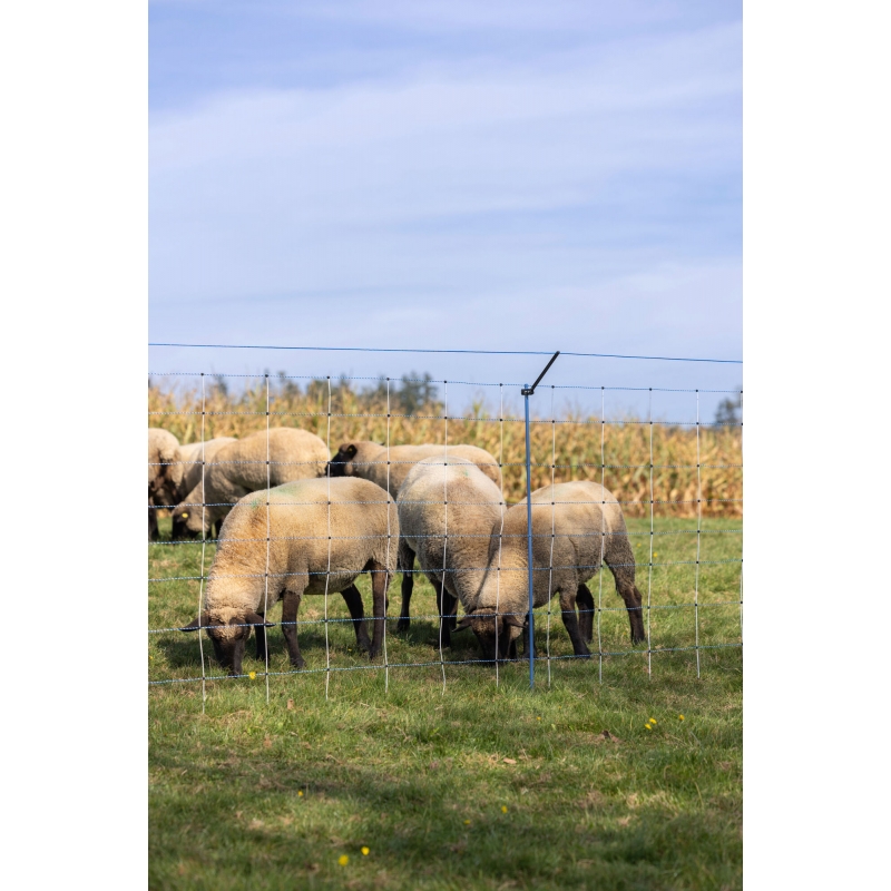 27256 - Kit compl&eacute;mentaire WolfStop pr filets cl&ocirc;ture, 10 pcs - KERBL - Agrodieren.be - 27256