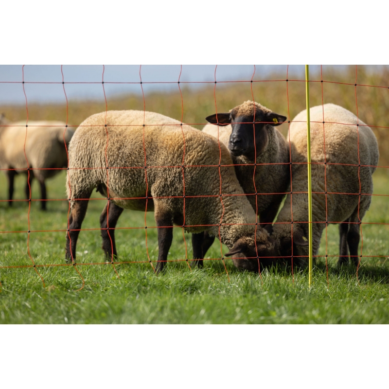 27901 - Filet moutons, 50&nbsp;m, orange haut.&nbsp;: 90&nbsp;cm, double pointe - KERBL - Agrodieren.be - 27901
