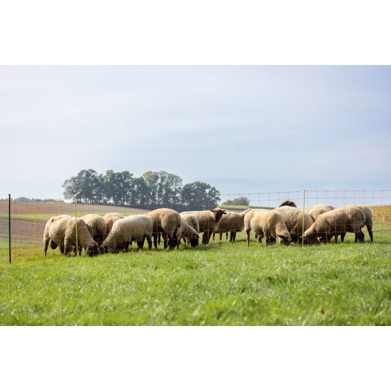 27902 - Filet moutons, 50&nbsp;m, orange haut.&nbsp;: 108&nbsp;cm, simple pointe - KERBL - Agrodieren.be - 27902