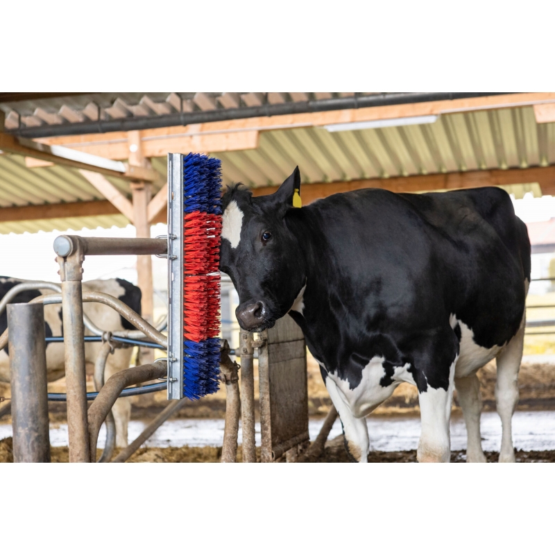 293130 - Brosse Bully, 90x30&nbsp;cm, rouge et bleu - KERBL - Agrodieren.be - 293130