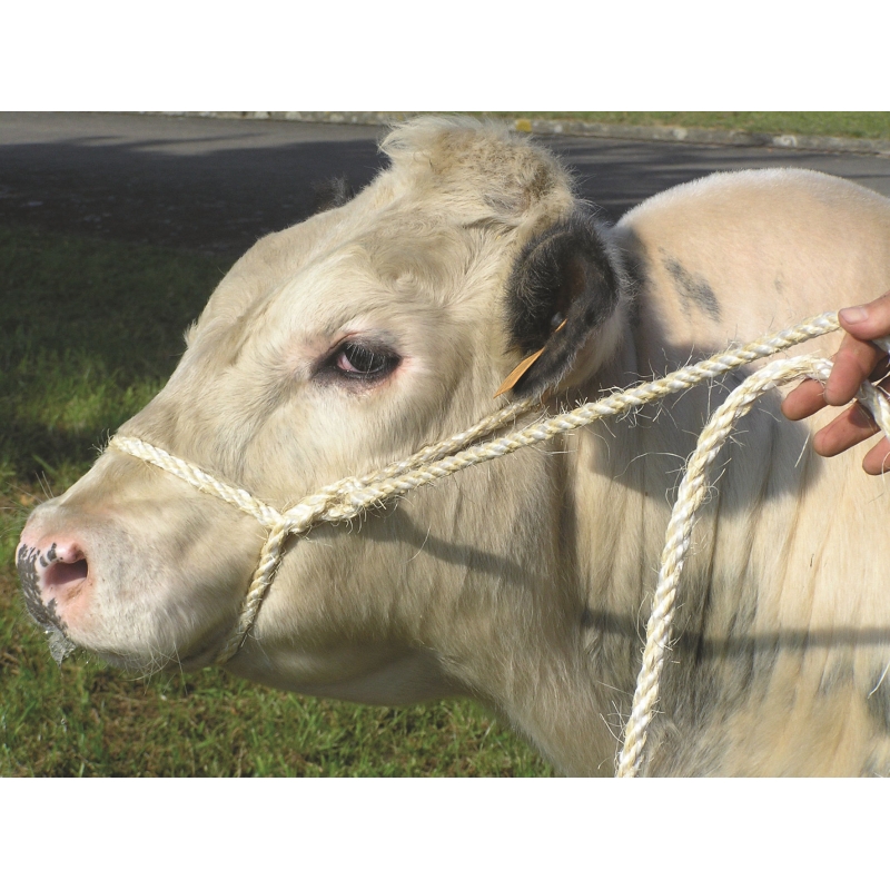 29545 - Veetransp.leidtouw groen, van Sisal 13 mm, 3 m - KERBL - Agrodieren.be - 29545