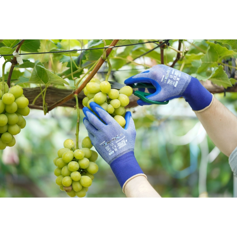 297688 - Gants MagneX 538 T.10/XL - KERBL - Agrodieren.be - 297688