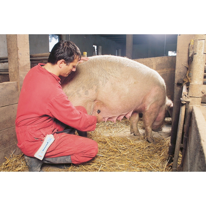 Détecteur de gestation porc  avec câble et sonde - 22130