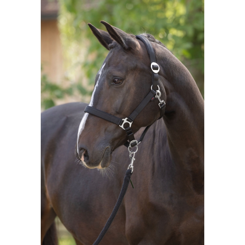 3228196 - Licol Doria, black, poney  - KERBL - Agrodieren.be - 3228196