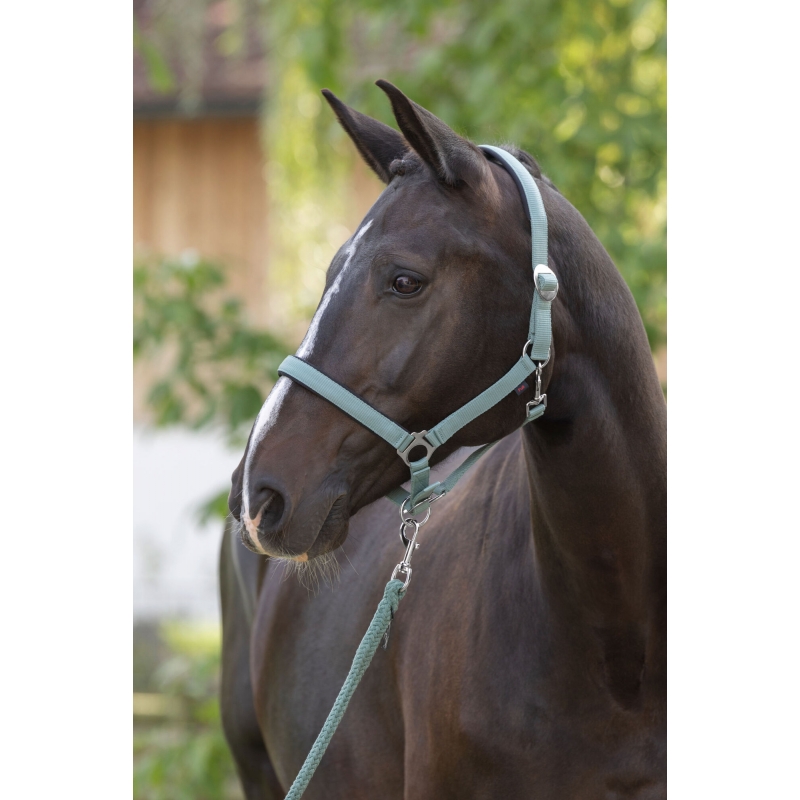 3228205 - Halster Doria, jade green Cob  - KERBL - Agrodieren.be - 3228205
