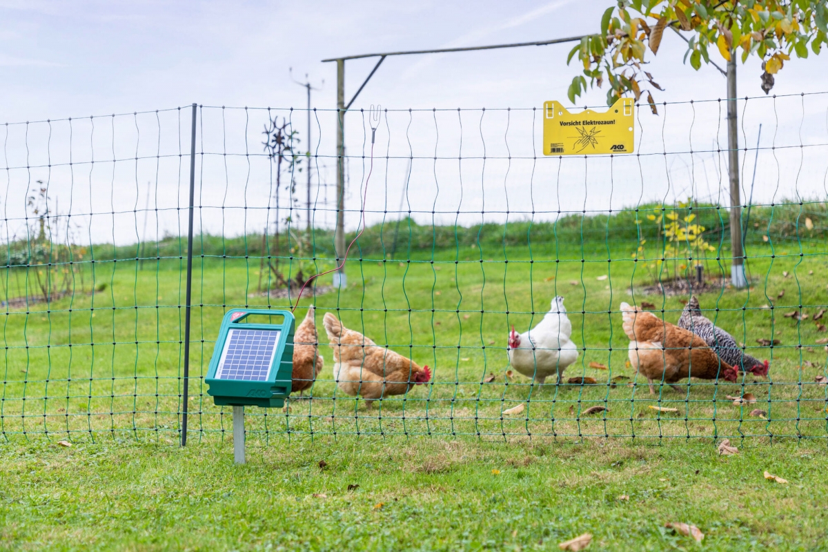 Clôture en grillage de poule en plastique blanc durable de 39,9 cm x 3 Clôture en grillage de poule en plastique blanc durable de 39,9 cm x 3