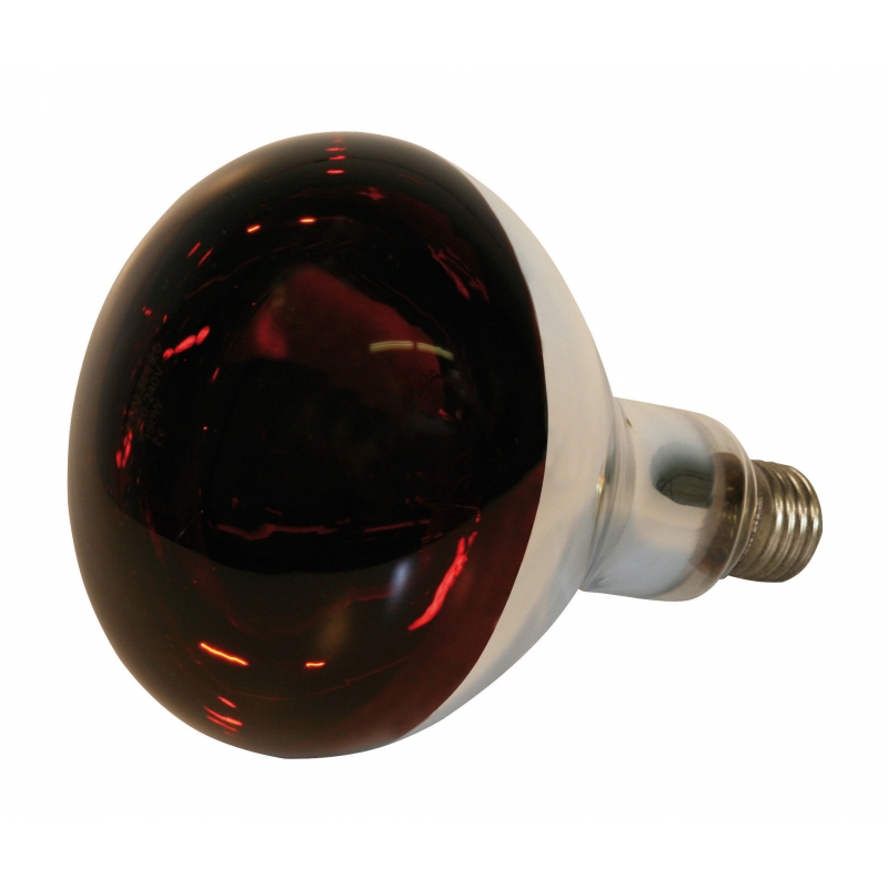 Lampe Kerbl IR 150W rouge, verre de sécurité - 22244