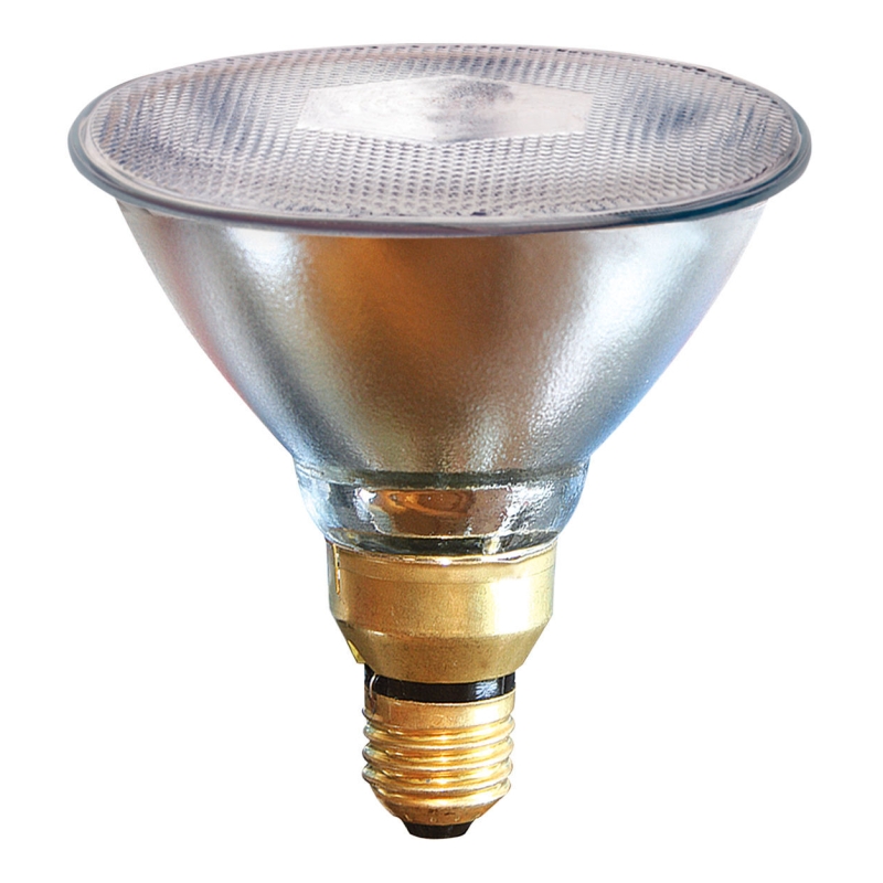 Lampe &agrave; &eacute;conomie d'&eacute;nergie PAR38 175W, transparente - 22250