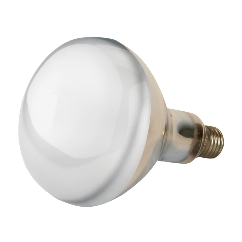 IR-lamp 250W gehard glas, helder - 22252