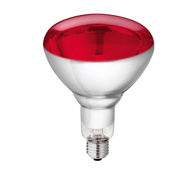 Lampe IR Philips 150W 240v rouge, verre renforcé - 22313