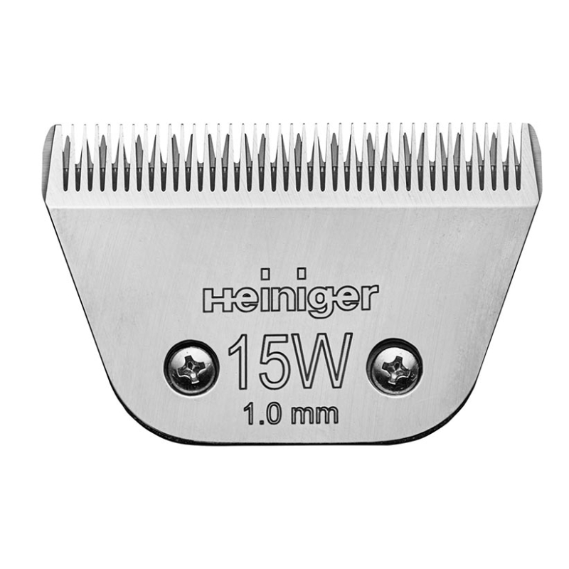 foto fr - 707-972A-HEIN