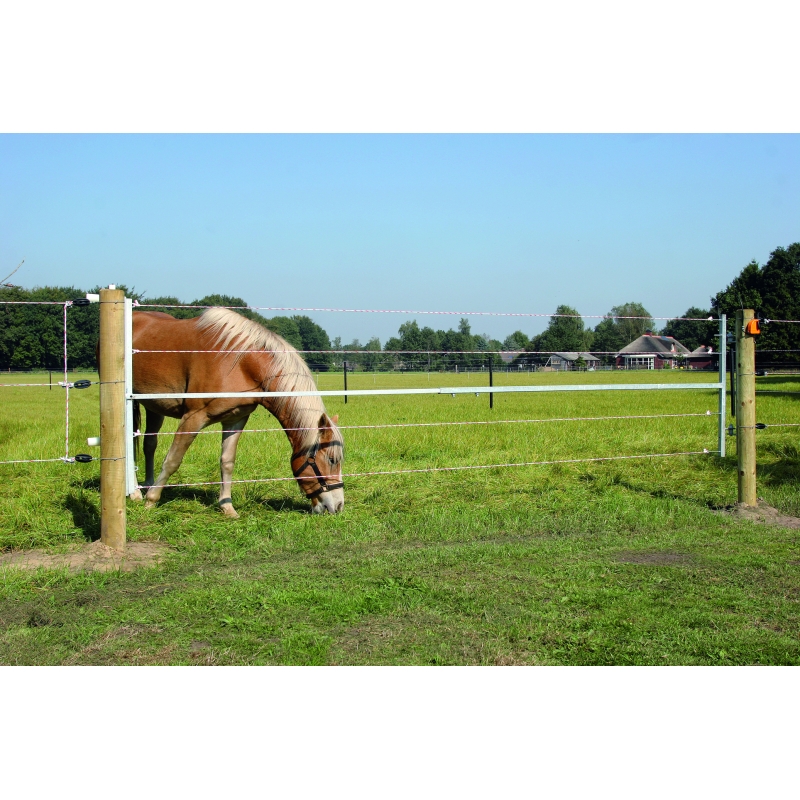 foto fr - 001064-GALL