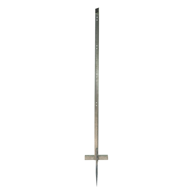 foto fr - 081967-GALL