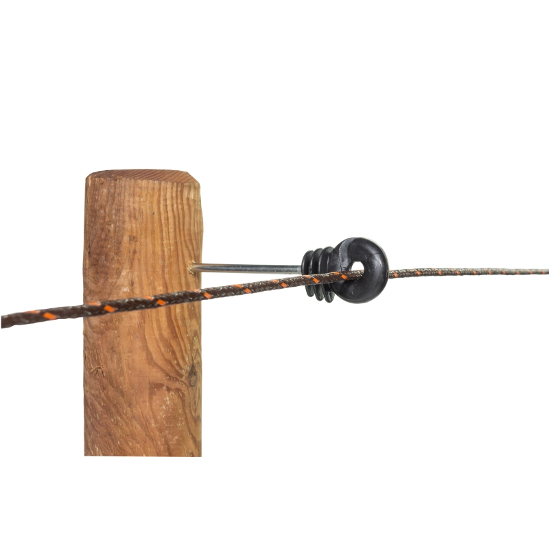 foto fr - 082711-GALL