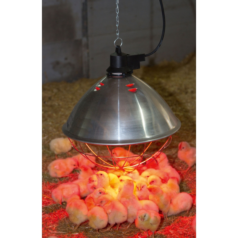 Protecteur de lampe infrarouge 5m r&eacute;flecteur 35cm - 22729