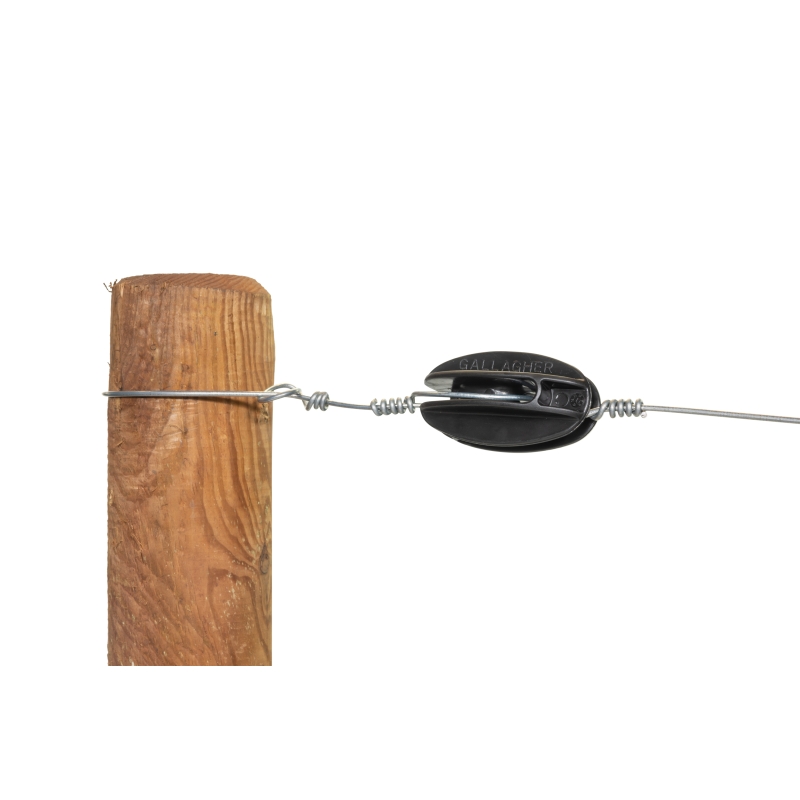 foto fr - 678061-GALL